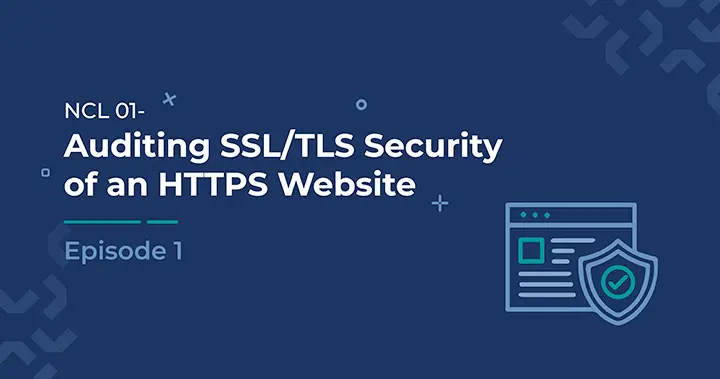 Auditing SSL/TLS Security of an HTTPS Website